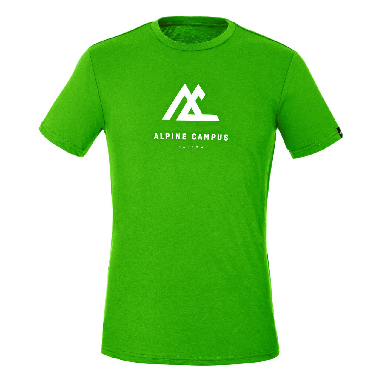 Salewa Men's Geometric Dry Short Sleeve T-Shirts Green ESO-267580